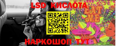 ECSTASY Гатчина